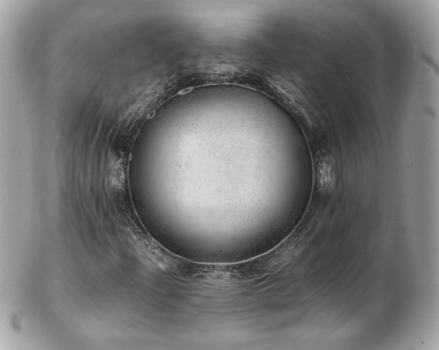 X0000103271204200808291232