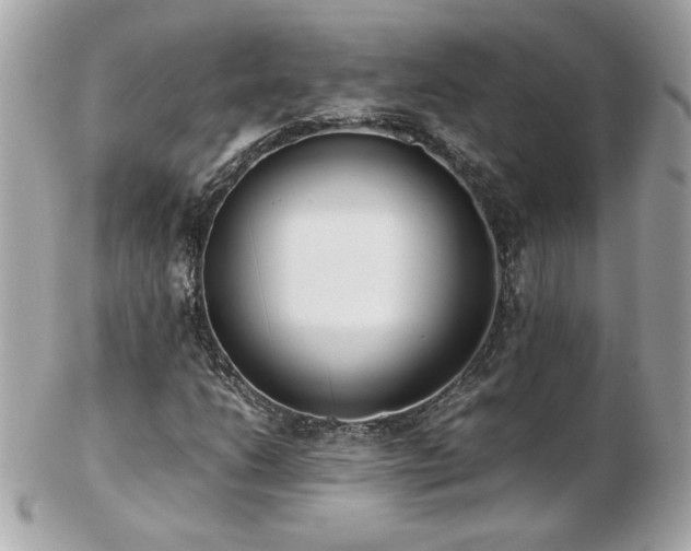 X0000103271206200808291232