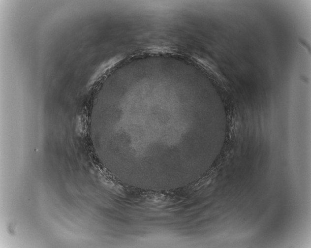 X0000103271207200808291232