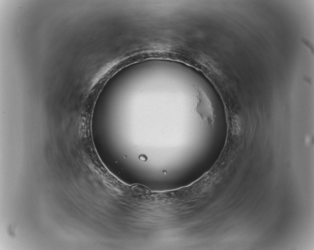 X0000103271208200808291232