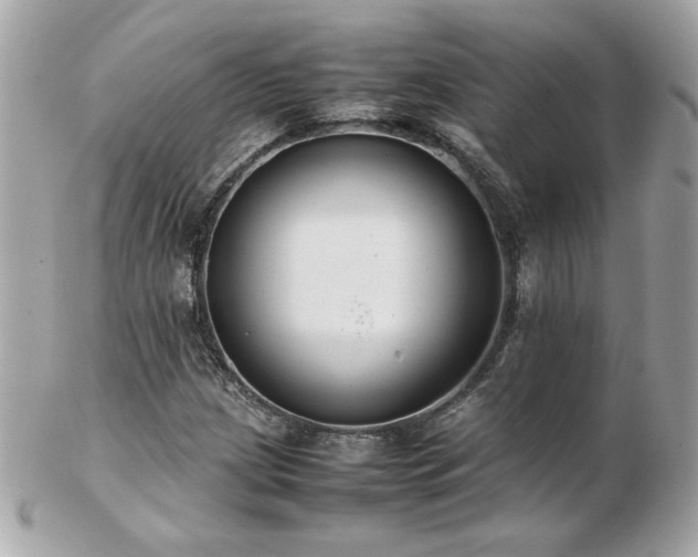 X0000103271209200808291232