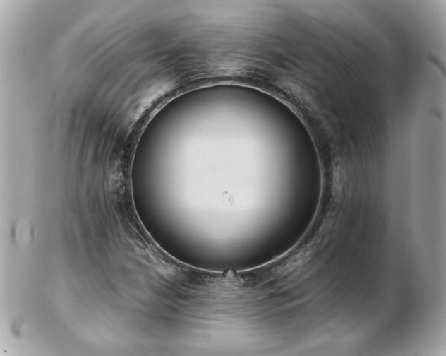 X0000103271210200808291232