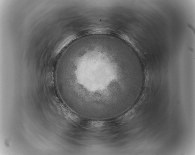 X0000103271211200808291232