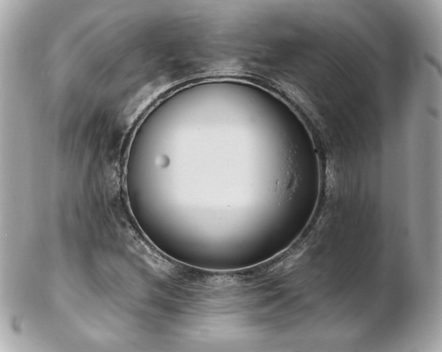 X0000103271212200808291232