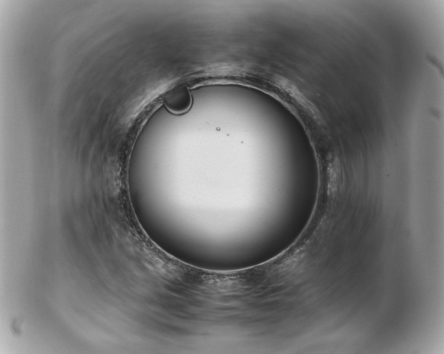 X0000103271213200808291232