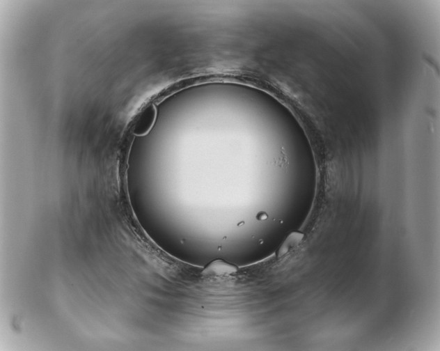 X0000103271214200808291232