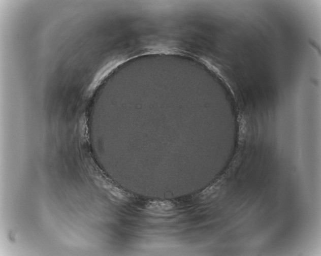 X0000103271215200808291232