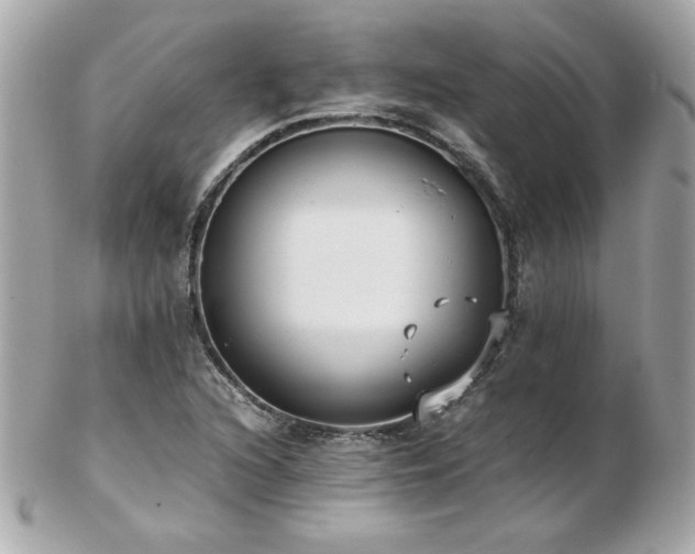 X0000103271216200808291232