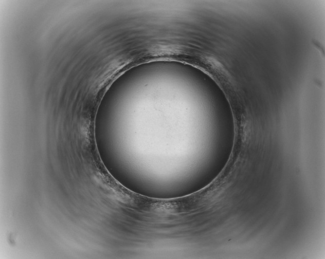 X0000103271217200808291232