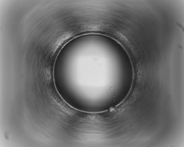 X0000103271218200808291232