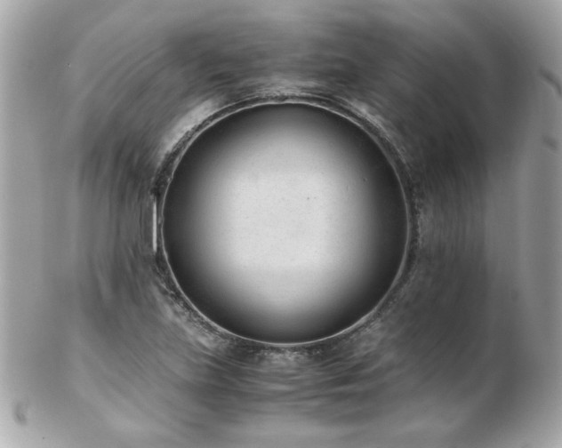 X0000103271219200808291232