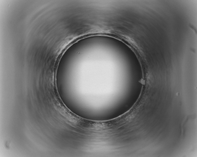 X0000103271220200808291232