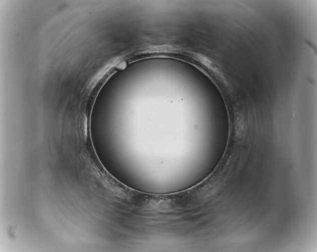 X0000103271221200808291232