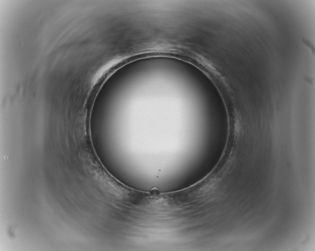 X0000103271222200808291232