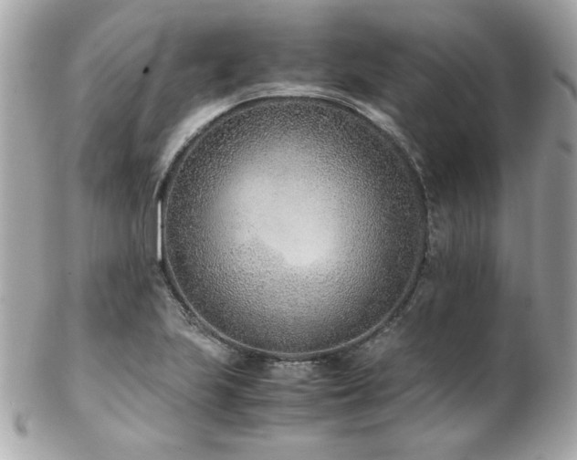 X0000103271223200808291232