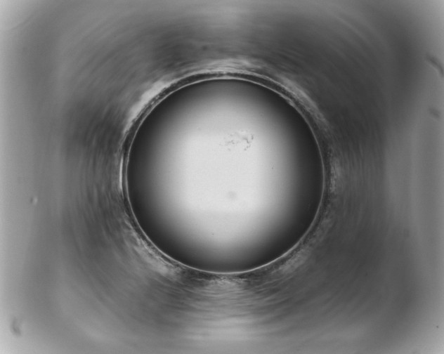 X0000103271224200808291232