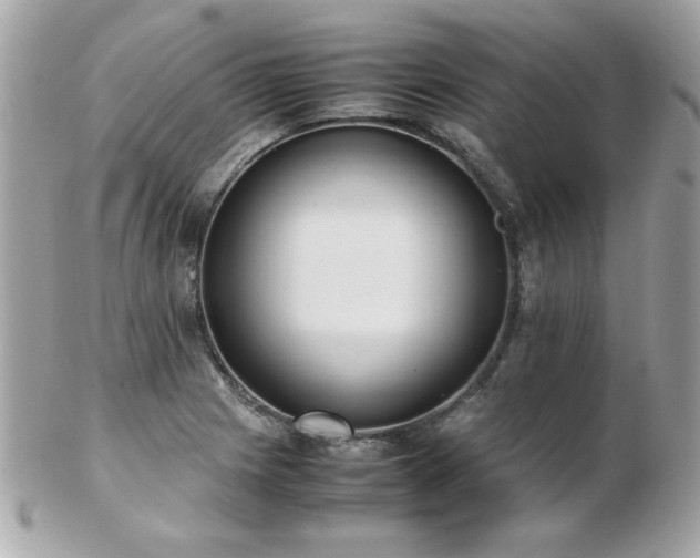 X0000103271225200808291232