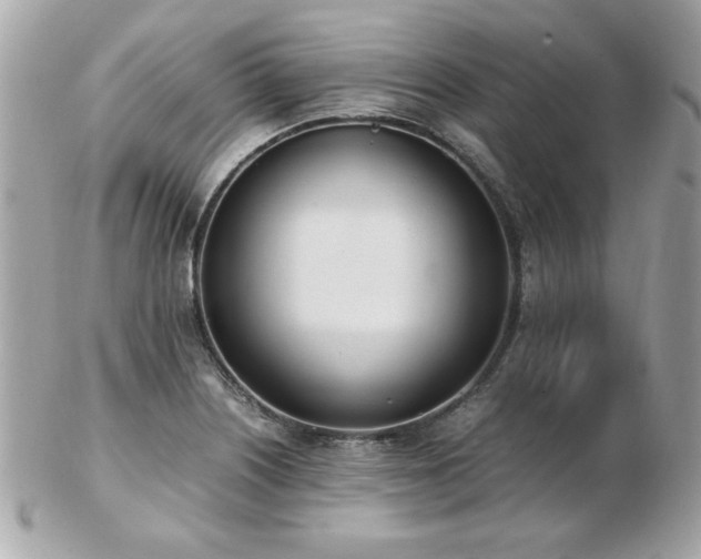 X0000103271226200808291232