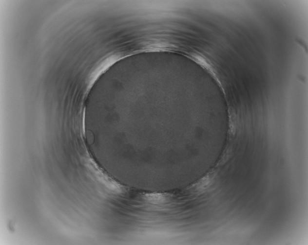 X0000103271227200808291232