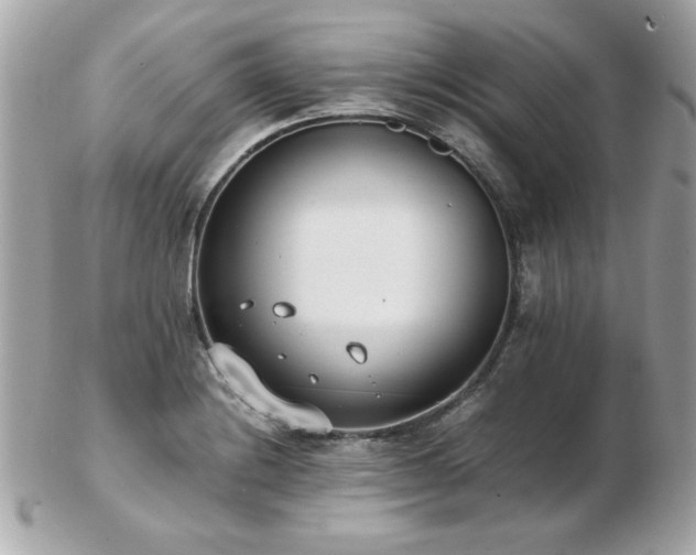 X0000103271228200808291232