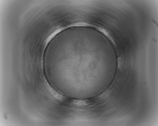 X0000103271229200808291232