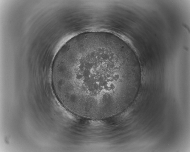 X0000103271231200808291232