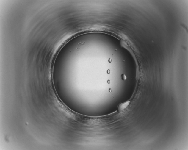 X0000103271232200808291232