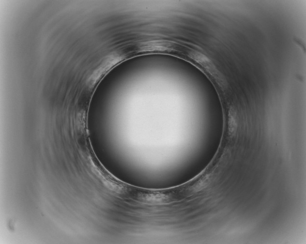 X0000103271233200808291232