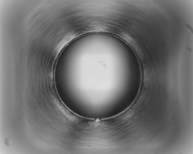 X0000103271234200808291232