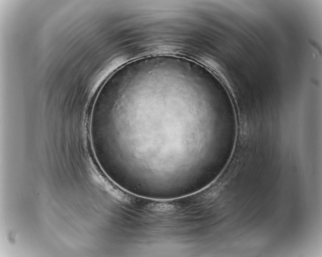 X0000103271235200808291232