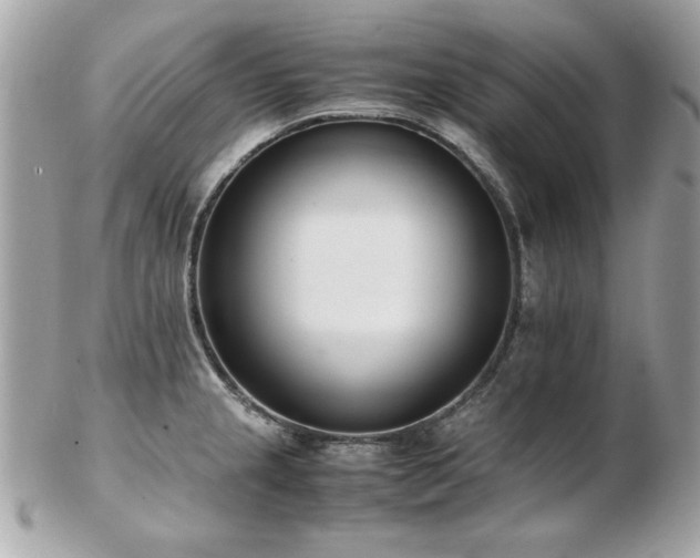 X0000103271237200808291232