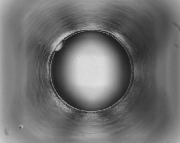 X0000103271238200808291232