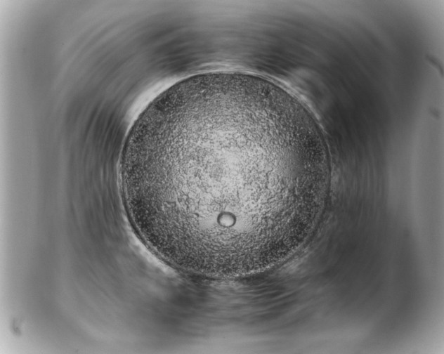 X0000103271239200808291232