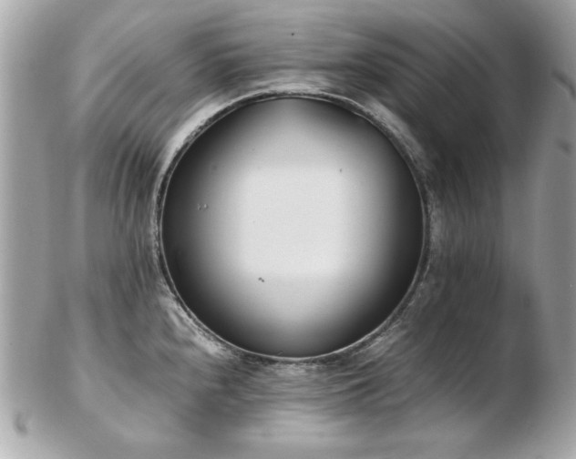 X0000103271240200808291232