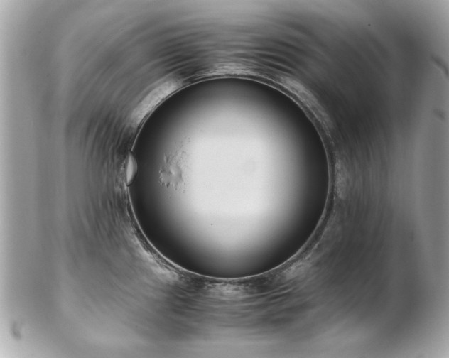 X0000103271241200808291233