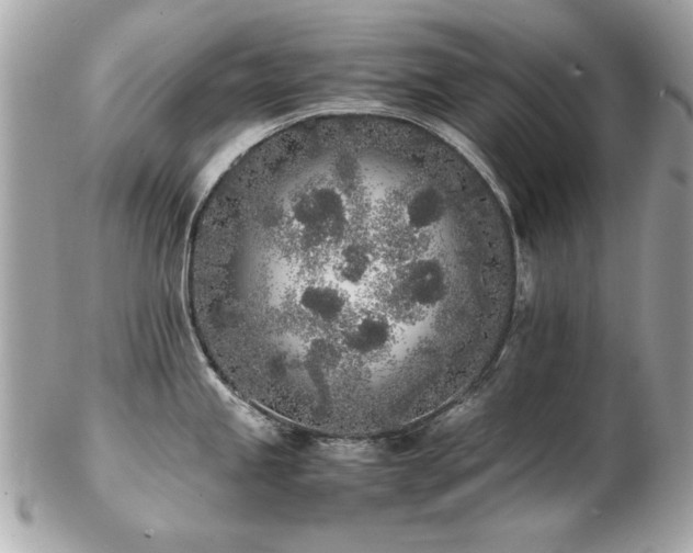 X0000103271245200808291233