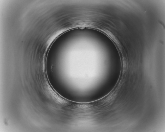 X0000103271246200808291233