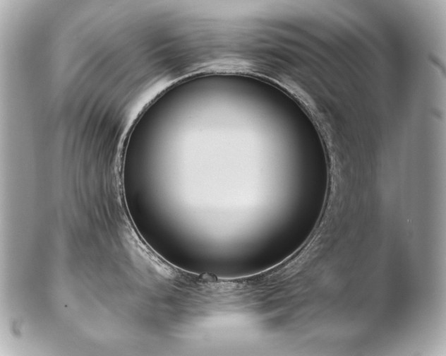 X0000103271248200808291233