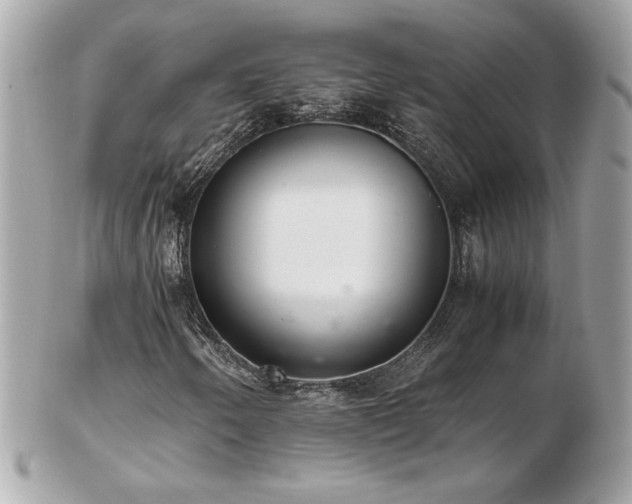 X0000103271250200808291232