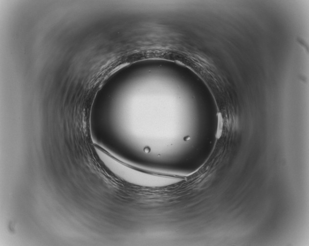 X0000103271252200808291232