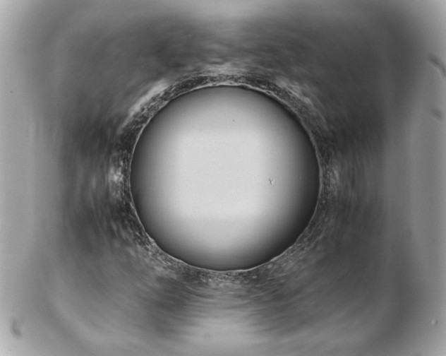 X0000103271254200808291232