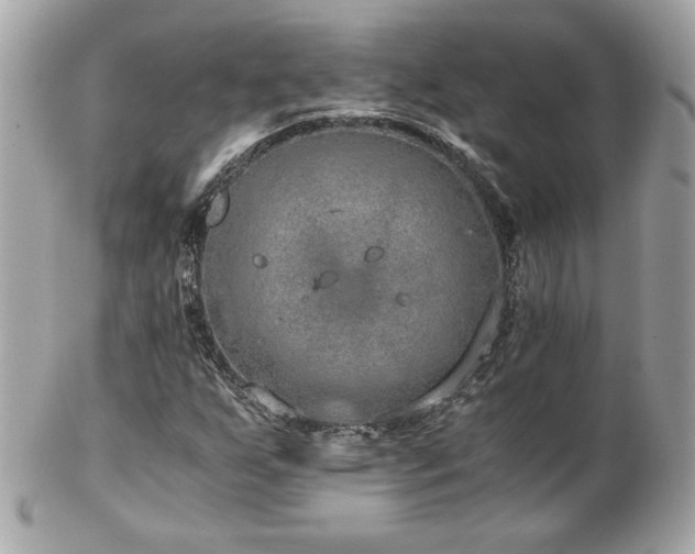 X0000103271255200808291232