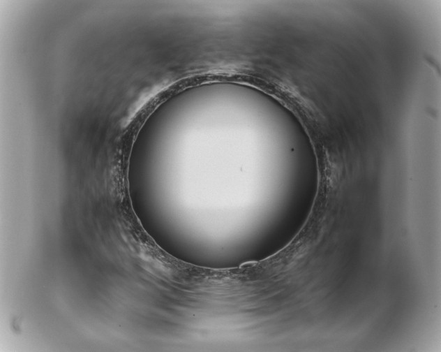 X0000103271256200808291232