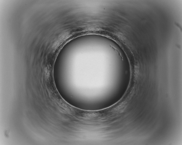 X0000103271257200808291232