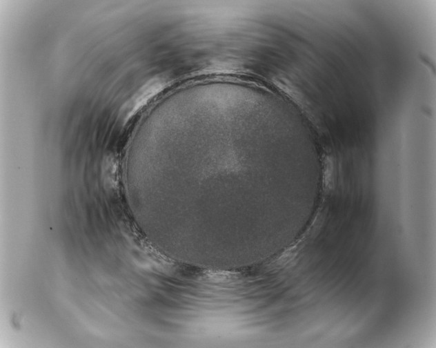 X0000103271258200808291232