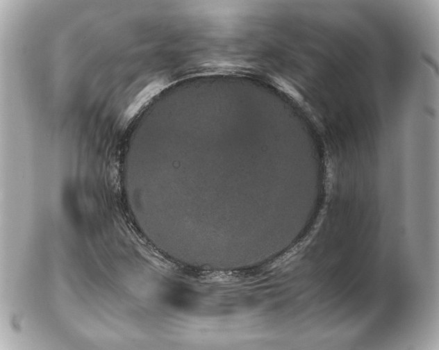 X0000103271259200808291232