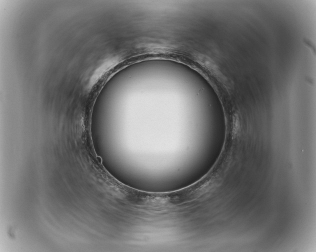 X0000103271261200808291232