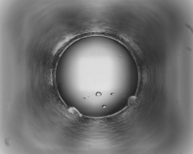 X0000103271262200808291232