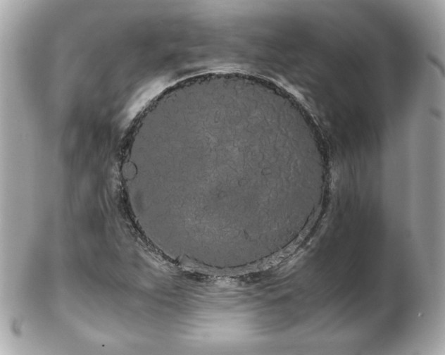 X0000103271263200808291232