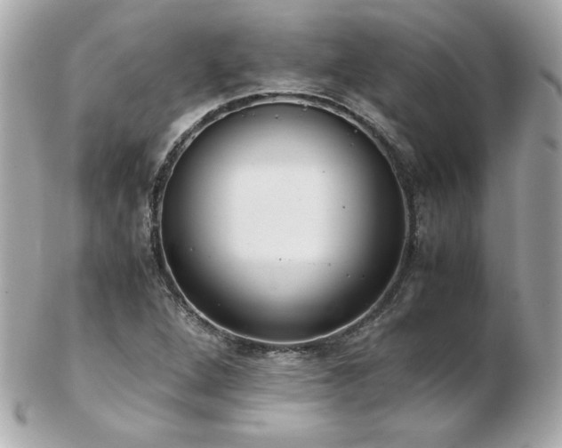 X0000103271264200808291232